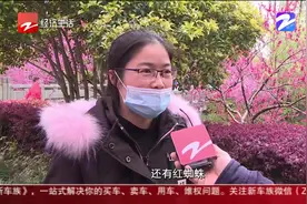 杭州：景观树上挂“虫袋”，树木为啥会挂虫子？其中大有门道！视频封面