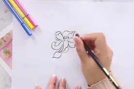 荷花的画法步骤视频封面
