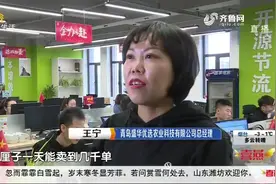 怒砸百亿补贴！拼多多也推出“年货节”，优惠力度堪比“双十一”