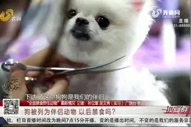 国家出手！狗被列为伴侣动物，狗肉或将禁食，多数市民表示支持视频封面