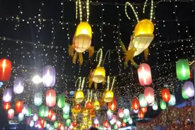小伙请假3天从深圳出发到广西旅游 一路惊喜不断视频封面