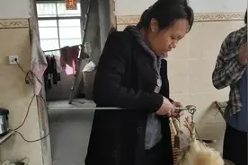 农村大嫂买鸡用杆秤，重量多少能看懂，你们还会用这种杆秤吗？视频封面
