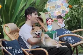 向往的生活4：黄晓明回忆在北电时太累了，竟是因为帮赵薇收情书视频封面