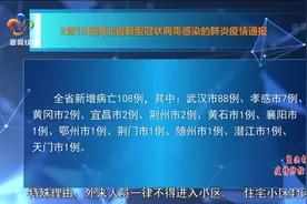 2月19日湖北新型冠状病毒感染的肺炎疫情通报视频封面