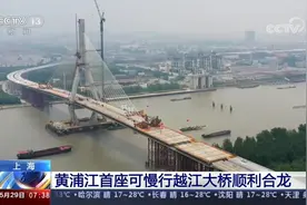 上海黄浦江首座可慢行越江大桥顺利合龙视频封面