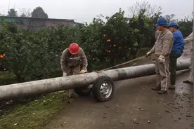 养殖基地安动力电，电杆这样立，真是太科学了！视频封面