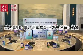 首次亮相！青岛西海岸新区发布蓝莓IP形象图片