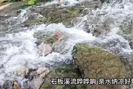 石板溪流哗哗响 亲水纳凉好地方图片