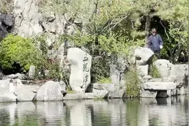 济南五龙潭的花有多美？有游客特地请假来赏花“打卡”图片