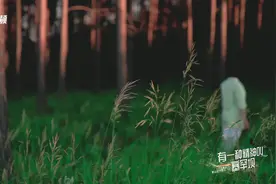 有一种精神叫塞罕坝图片