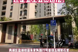 炸锅！沪上新楼盘，大波业主圈地占绿“围院子”！真相，竟是这样的图片