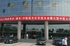 视频丨海峡两岸百位中医义诊忙图片