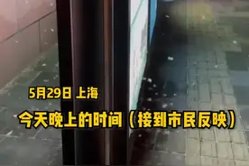 上海白蚁“大军”又来了！上海物业服务热线：反映白蚁问题的电话没停过图片