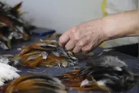山东手造·聊城有礼图片