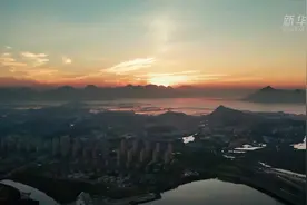 我的“大白”爸爸图片