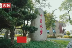 浙江日报头版丨串珠成链人气足 嘉兴嘉善大云镇十里水乡景区全新归来图片