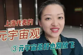 上海代表的元宇宙观③视频封面