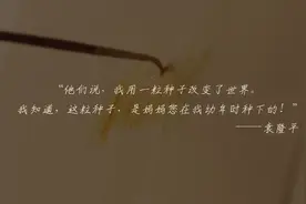 缅怀袁隆平院士逝世一周年，成都音乐人创作、易烊千玺演唱歌曲《种子》上线图片
