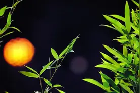让匠心之作持续喷涌——慎海雄谈《诗画中国》图片