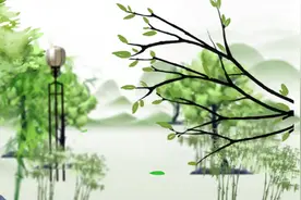 发现古树名木之美⑦丨黄材香榧古树群落图片