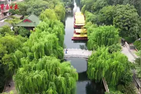 清水芙蓉袅袅起 五莲泉景美泉城图片