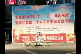 视频丨泰山杂技团进村演出引热捧图片