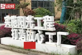 一块臭豆腐畅销长三角！嘉兴管老太臭豆腐“住”进阳光工厂图片