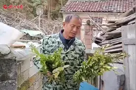 新春走基层｜寓意齐全圆满的大禾糍粑图片