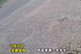 孩子不小心掉进下水道，热心邻居都来帮忙图片