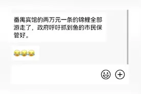 2万元一条的锦鲤趁暴雨出逃？广州番禺宾馆：可能有少量游走，具体价格不明图片