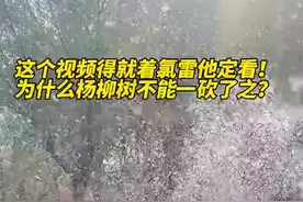 氯雷他定冲上热搜！医生提醒图片