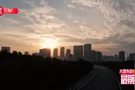 刚强大国外交最前线丨从中越高层的频繁互动中 看“同志加兄弟”的高水平和特殊性图片