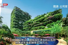 碧桂园杨惠妍年薪降至12万元，曾当过十次中国女首富图片