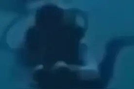 中国游客在马尔代夫潜水遭鲨鱼咬头，惊险画面曝光图片
