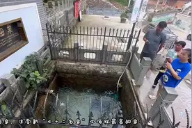 斗母泉，济南新“七十二名泉”中海拔最高的泉！图片