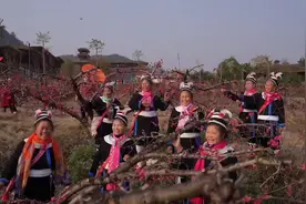 及时游｜春色满园 寻找南粤最绚烂的那片花海图片