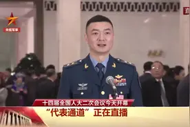 “金头盔”飞行员亮相“代表通道”！他是谁？图片