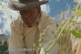 万物滋养1：藏地文明的起点！青稞的种植养育了藏地人民视频封面