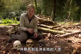 纪录片：直立人的发展历史，他们是如何一步步走向世界的视频封面