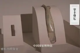 商晚期王室为占卜记事，契刻在龟甲或兽骨上的文字，被称为甲骨文视频封面