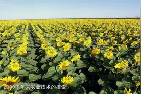 航拍中国2：两千多年的技术摸索，让河套平原成为真正塞外米粮川视频封面