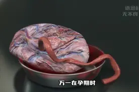 关于胎盘你了解多少？这是所有男性都无法体会的痛视频封面