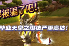 都被骗了吧！ 法系毕业天堂之焰被严重高估！ #魔兽世界勇士集结视频封面