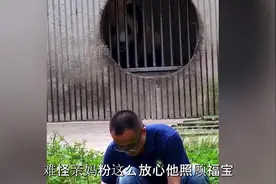 徐奶爸出差回归后 福宝有多开心视频封面