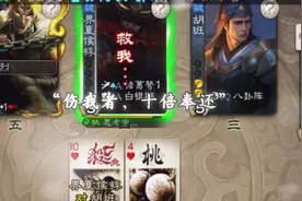 “伤我者，十倍奉还”#三国杀视频封面
