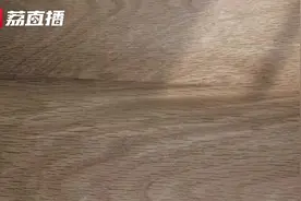 AI带你一镜穿越2024新图景图片