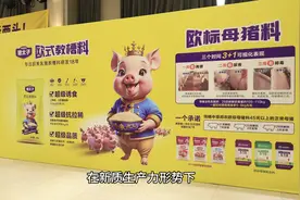 百头母猪场年增利30万如何实现？ 猪太子欧式教槽料五星猪王增产管理培训会解题！图片
