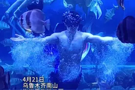 视频 | “男美人鱼”亮相乌鲁木齐图片