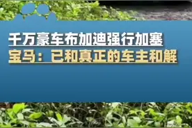 传售价4000万布加迪跑车加塞撞宝马还威胁宝马车主。交警判定：布加迪全责图片