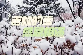 吉林的雪 感恩相遇图片